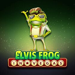 Elvis Frog in Vegas