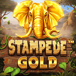 Stampede Gold